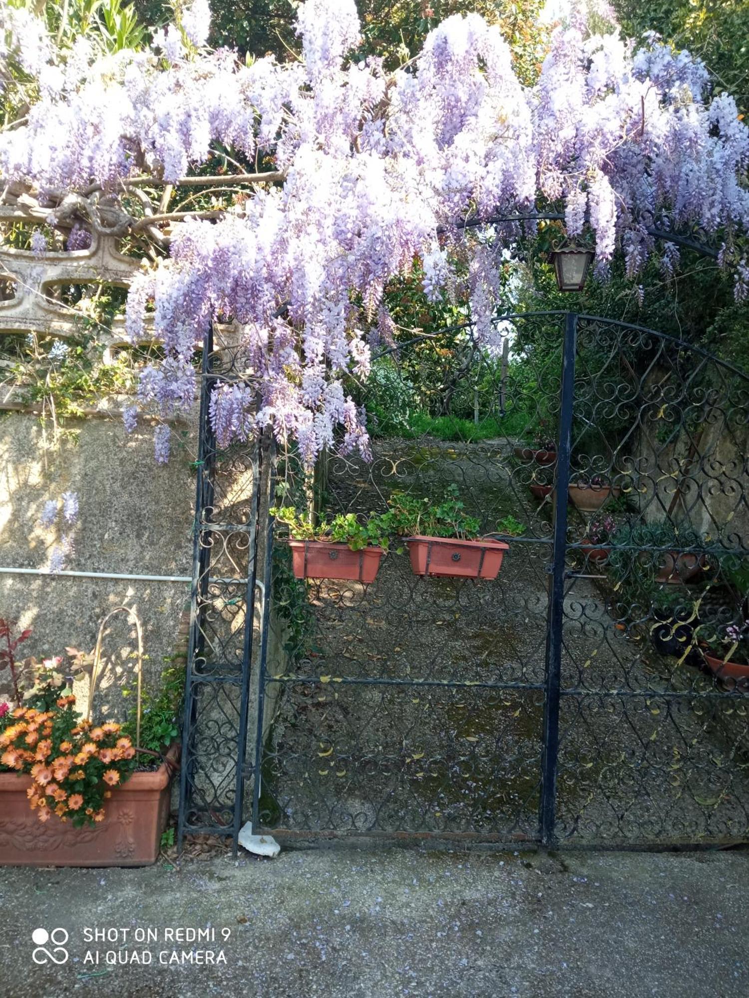 Belvedere Di Caiazzo Extérieur photo