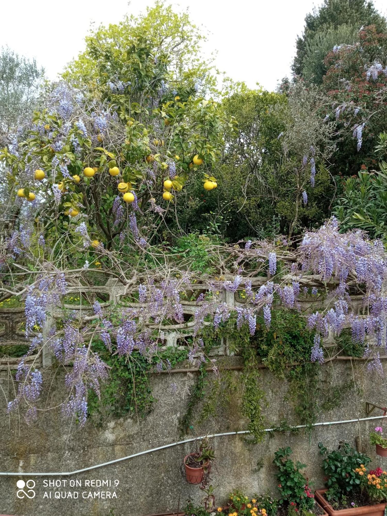 Belvedere Di Caiazzo Extérieur photo
